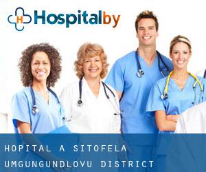 hôpital à Sitofela (uMgungundlovu District Municipality, KwaZulu-Natal)