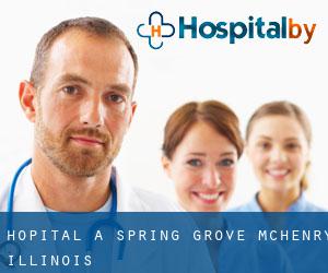 hôpital à Spring Grove (McHenry, Illinois)