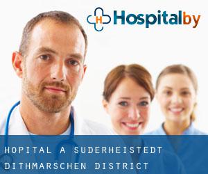 hôpital à Süderheistedt (Dithmarschen District, Schleswig-Holstein)