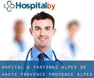 hôpital à Tartonne (Alpes-de-Haute-Provence, Provence-Alpes-Côte d'Azur)