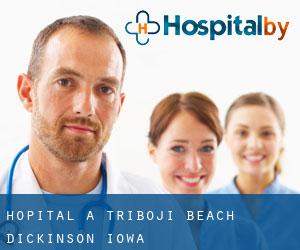 hôpital à Triboji Beach (Dickinson, Iowa)