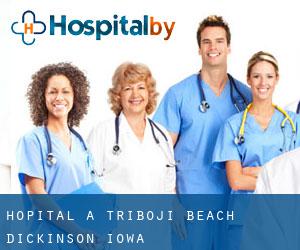 hôpital à Triboji Beach (Dickinson, Iowa)