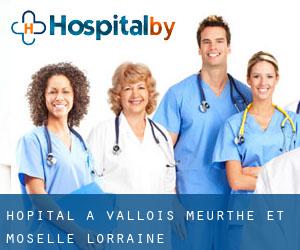 hôpital à Vallois (Meurthe-et-Moselle, Lorraine)