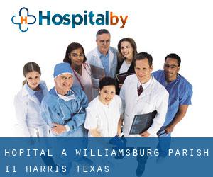 hôpital à Williamsburg Parish II (Harris, Texas)